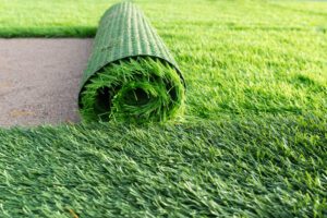 Artificial,Grass